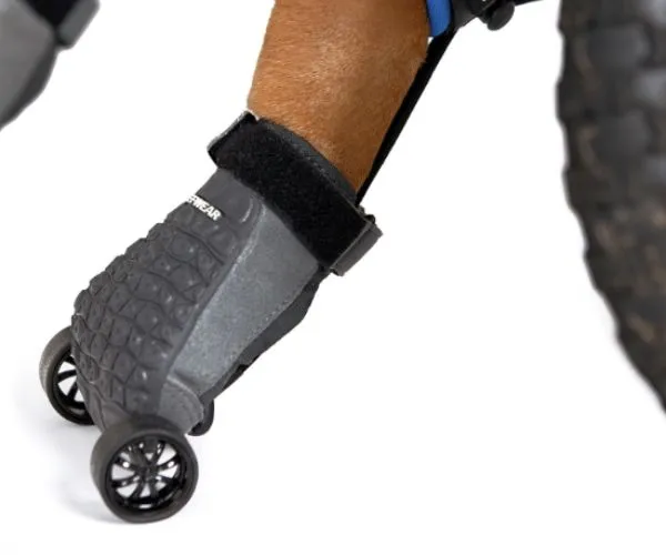Maximus Skates - A Pair (two skates) in Blue for Wheelchair Dogs